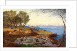 Corfu from Ascension by Edward Lear