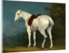 A Lady's Grey Hunter by Jacques-Laurent Agasse