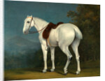 A Lady's Grey Hunter by Jacques-Laurent Agasse
