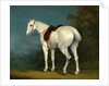 A Lady's Grey Hunter by Jacques-Laurent Agasse