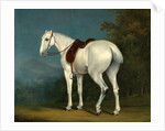 A Lady's Grey Hunter by Jacques-Laurent Agasse