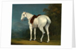 A Lady's Grey Hunter by Jacques-Laurent Agasse