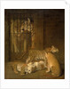 Group of Whelps Bred between a Lion and a Tigress by Jacques-Laurent Agasse