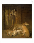 Group of Whelps Bred between a Lion and a Tigress by Jacques-Laurent Agasse