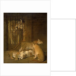 Group of Whelps Bred between a Lion and a Tigress by Jacques-Laurent Agasse