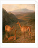 Three Vicunas by Jacques-Laurent Agasse