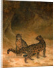 Clouded Leopards by Jacques-Laurent Agasse
