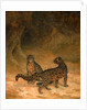 Clouded Leopards by Jacques-Laurent Agasse