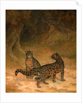 Clouded Leopards by Jacques-Laurent Agasse