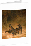 Clouded Leopards by Jacques-Laurent Agasse