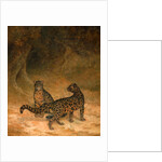 Clouded Leopards by Jacques-Laurent Agasse