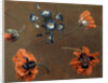 Poppies and Tradascanthus by Anonymous