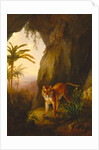 Tiger in a Cave Tropical by Jacques-Laurent Agasse