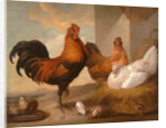 Domestic Cock, Hens, and Chicks by Francis Barlow