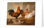 Domestic Cock, Hens, and Chicks by Francis Barlow
