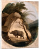 The Indian Rhinoceros by Thomas Daniell