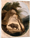 The Indian Rhinoceros by Thomas Daniell