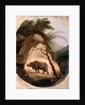 The Indian Rhinoceros by Thomas Daniell