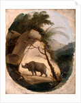 The Indian Rhinoceros by Thomas Daniell