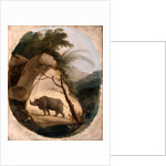 The Indian Rhinoceros by Thomas Daniell