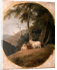 Kashmir Goats by William Daniell