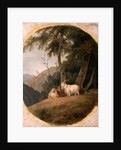 Kashmir Goats by William Daniell
