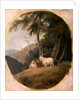 Kashmir Goats by William Daniell
