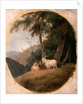 Kashmir Goats by William Daniell