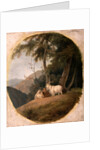 Kashmir Goats by William Daniell