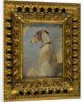 Study of a Greyhound by Sir Edwin Henry Landseer