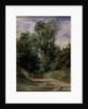 A Wooded Lane by Richard Parkes Bonington