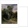 A Wooded Lane by Richard Parkes Bonington