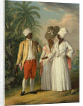 Free West Indian Dominicans by Agostino Brunias