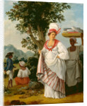 West Indian Creole woman, with her Black Servant by Agostino Brunias