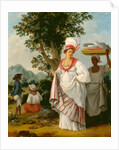 West Indian Creole woman, with her Black Servant by Agostino Brunias
