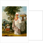 West Indian Creole woman, with her Black Servant by Agostino Brunias