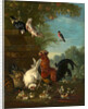 Domestic cock, hens, and chicks in a park by Peter Casteels