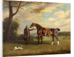 The Earl of Shrewsbury's Groom Holding a Hunter by Henry Bernard Chalon