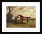 The Earl of Shrewsbury's Groom Holding a Hunter by Henry Bernard Chalon