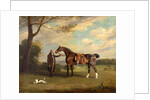 The Earl of Shrewsbury's Groom Holding a Hunter by Henry Bernard Chalon