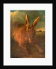 Hare Hunting A Rabbit with Hunter and Dog in the Background by Philip Reinagle