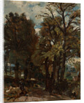Sketch of a Lane at East Bergholt by John Constable