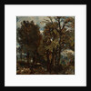 Sketch of a Lane at East Bergholt by John Constable
