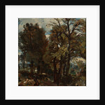 Sketch of a Lane at East Bergholt by John Constable