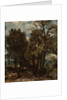 Sketch of a Lane at East Bergholt by John Constable