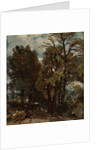 Sketch of a Lane at East Bergholt by John Constable