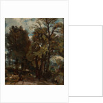 Sketch of a Lane at East Bergholt by John Constable