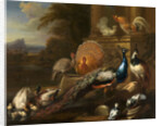 Peacocks, Doves, Turkeys, Chickens and Ducks by a Classical Ruin by Marmaduke Cradock