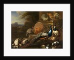 Peacocks, Doves, Turkeys, Chickens and Ducks by a Classical Ruin by Marmaduke Cradock