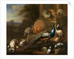 Peacocks, Doves, Turkeys, Chickens and Ducks by a Classical Ruin by Marmaduke Cradock